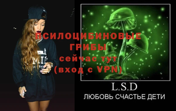ГАЛЛЮЦИНОГЕННЫЕ ГРИБЫ Верея