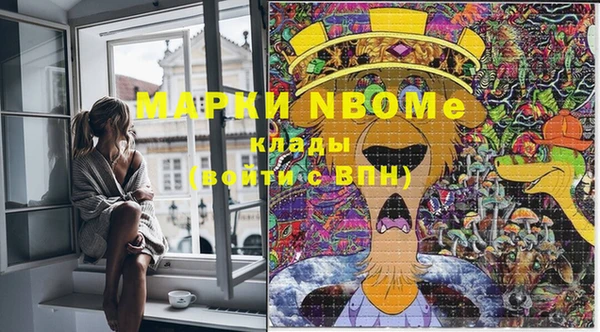 твердый Верхний Тагил