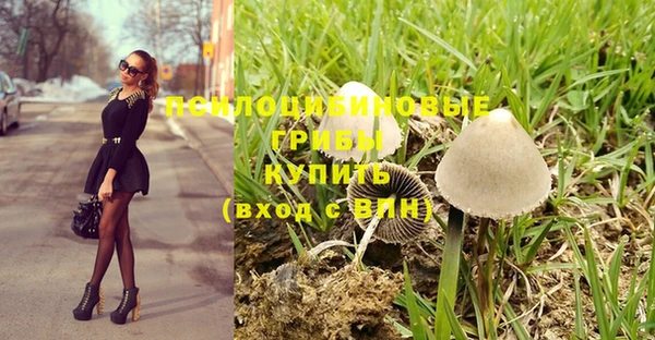 мескалин Бородино