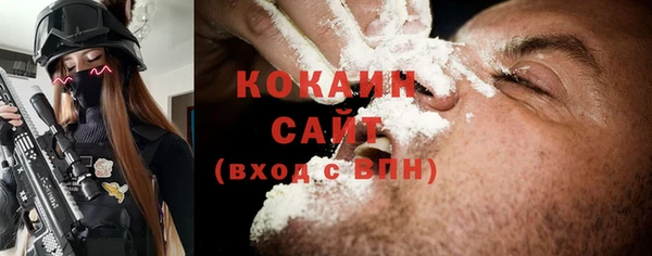 ГАЛЛЮЦИНОГЕННЫЕ ГРИБЫ Верея