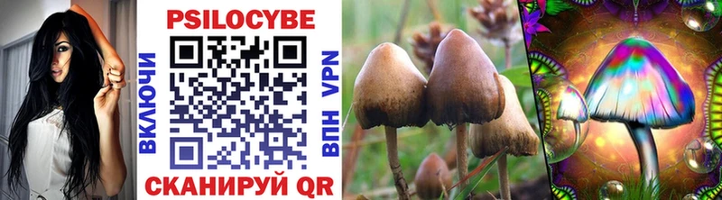 mega маркетплейс  Великий Новгород  Галлюциногенные грибы Psilocybine cubensis 