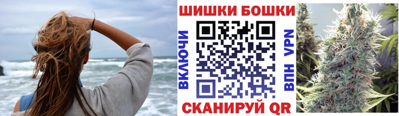Канабис OG Kush  Великий Новгород 